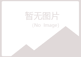 应城山柏律师有限公司